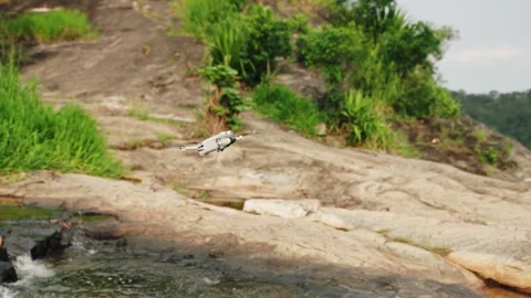 Drone flies over river capturing rich plants, flowing water. Aerial glides above Stock Footage 274226793