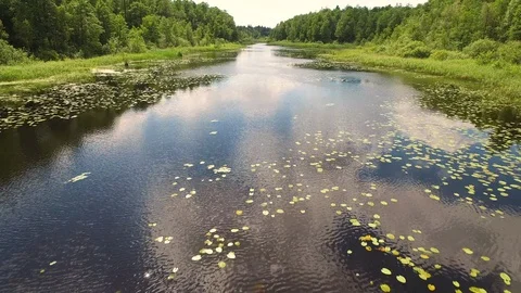 The drone flies over the river. Stock Footage 111336176