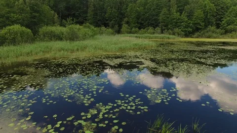 The drone flies over the river. Stock Footage 111336853