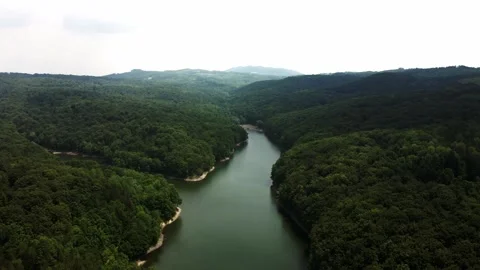 Drone flies over river surrounded by woods in mountain Bukulja, Serbia Stock Footage 260009382