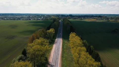 The drone flies over the road between the trees and watching the cars Video stock 107927145