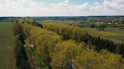 The drone flies over the road between the trees and watching the cars 스톡 동영상 107927340