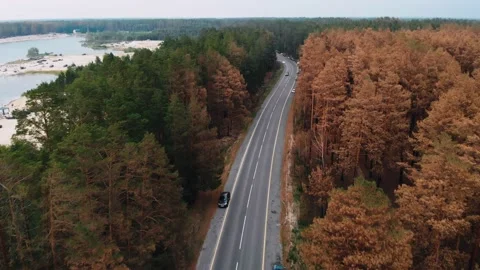 A drone flies over a road in a forest with parked cars on the side of the road Stock Footage 157409116