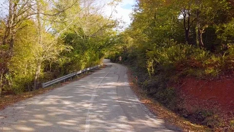 Drone flies over road that has green trees at the sides. Stock Footage 90970703