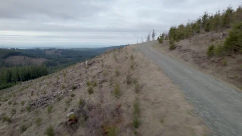 Drone Flies Over Off Road Trail in Pacific North West 库存影片 242826632