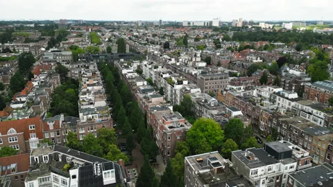 Drone flies over rows of high buildings intermixed with old-growth green trees Video stock 255184729
