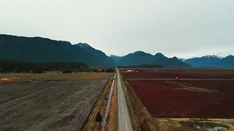 Drone flies over rural road toward snowy mountains between dark cranberry bogs Stock Footage 335220892