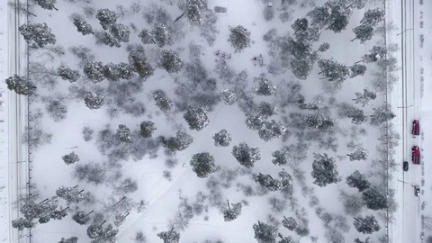 The drone flies over the snow-covered city park. Snow city, natural abstraction Video stock 83618324