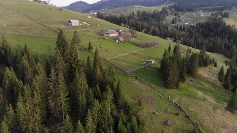  Drone flies over the spruces and  house village in mountainous area  landscape Video stock 116879846