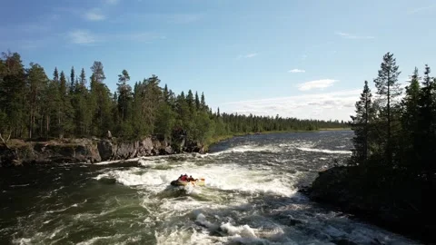The drone flies over a stormy mountain river that flows in the middle of a dense Video stock 256174076