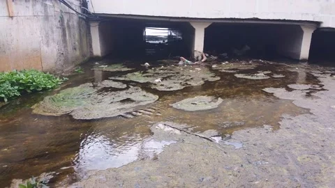 A drone flies over the surface of a shallow, mud-covered mountain river Video stock 132254336