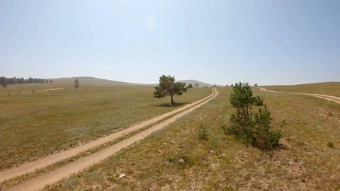 Drone flies over the tree under which the girl sits and rests in the shade Stock Footage 111642462