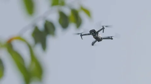 Drone Flies Over The Trees Stock Footage 124497460
