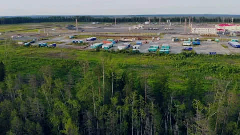 The drone flies over the trees to a mobile working village deep in the forest Stock Footage 155518646
