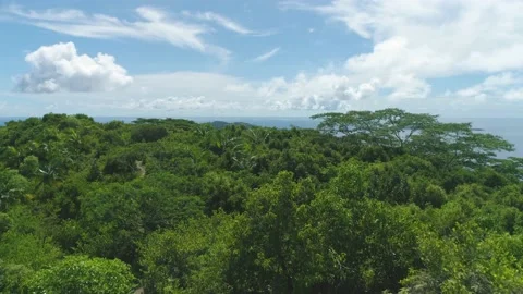 A drone flies over a tropical forest on the Seychelles island of La Digue Stock Footage 155402123