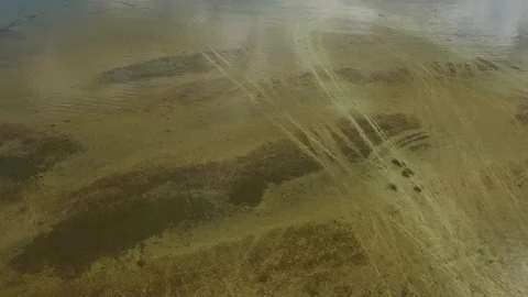 The drone flies over the water surface of the lake Stock Footage 119335032