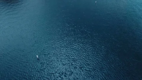 Drone flies over the water surface of the lake, aerial view of Lake Arrowhead Video stock 154972612