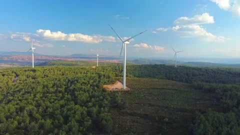 Drone Flies Over a Windmill Park . Aerial View of a Farm With Wind Turbines Stock Footage 161729149