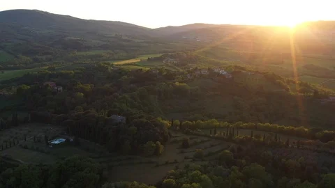 The drone flies over the wine fields in Italy. 库存影片 107884465