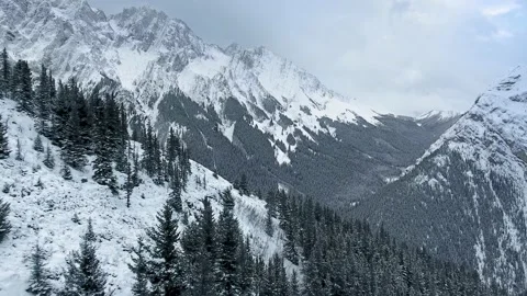 Drone flies over the winter forest and snowy mountain slopes in Alberta Stock-Footage 143233982