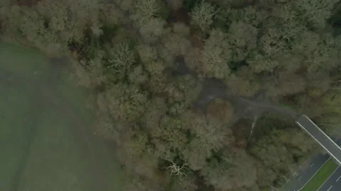 Drone flies over winter forest and reveals house Stock Footage 148184972