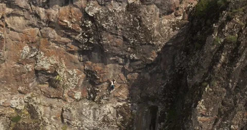 Drone flies over a young athletic female climber climbing a sheer cliff Stock Footage 270223132