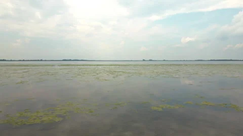 Drone flies from shore over surface of a lake in cloudy summer day Stock Footage 263321392