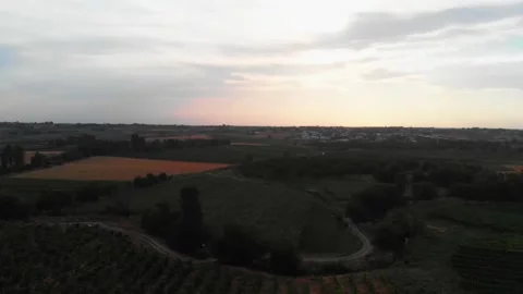 The drone flies slowly over fruit orchards Stock Footage 218153406