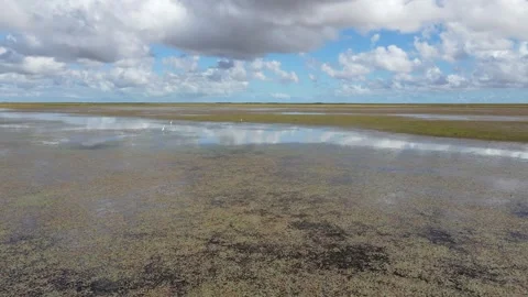 Drone Flies straight over lagoon in Australian Outback Stock Footage 297060072