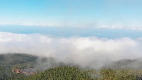 Drone flies through the clouds above a thick green forest. Lots of clouds over Video stock 110896029