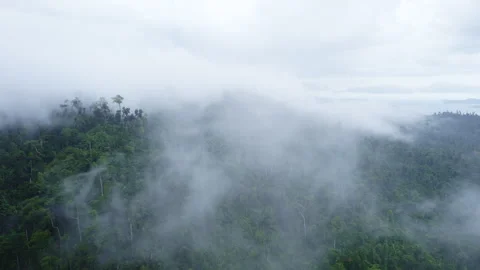 Drone flies through clouds in the tropics Stock Footage 272746766