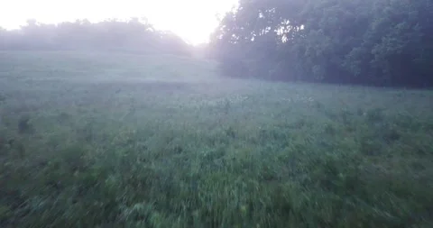 Drone Flies through FOG Stock Footage 245206215