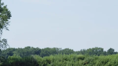 Drone flies up through frame.  Trees in background. Stock Footage 80151792