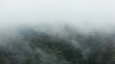 Drone flies through low rain clouds moving over fall colors treetops of woodland Stock-Footage 141768922