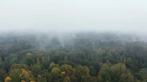 Drone flies through low rain clouds moving over fall colors treetops of woodland Video stock 141769508