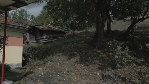 A drone flies through in nature Stock Footage 252982548