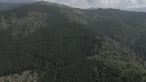 A drone flies through in nature Stock Footage 252986313