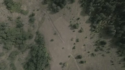 A drone flies through in nature Stock Footage 252986422