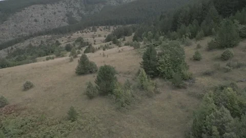 A drone flies through in nature Stock Footage 252990684