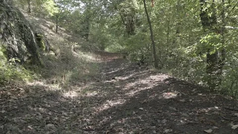 A drone flies through in nature Stock Footage 252990706