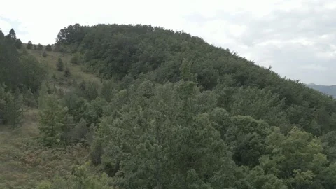 A drone flies through in nature Stock Footage 252990806