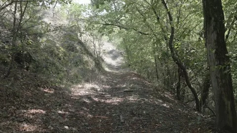A drone flies through in nature Stock Footage 252990991