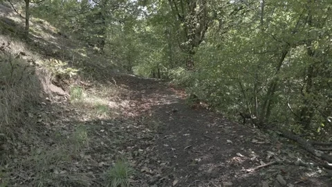 A drone flies through in nature Stock Footage 252991398