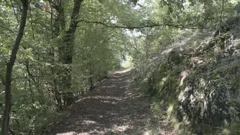 A drone flies through in nature Stock Footage 252993615