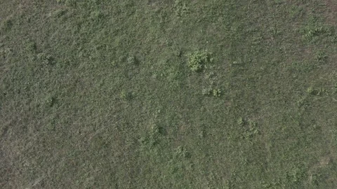 A drone flies through in nature Stock Footage 252995309