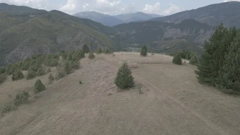 A drone flies through in nature Stock Footage 252995694