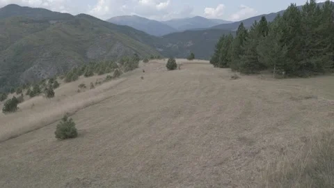 A drone flies through in nature Stock Footage 252996131