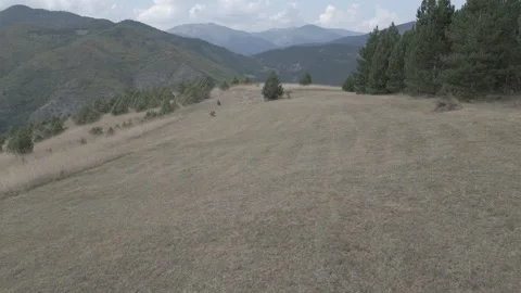 A drone flies through in nature Stock Footage 252997439