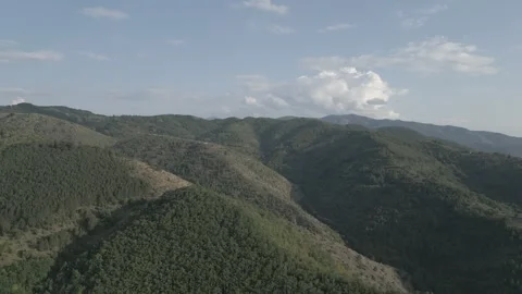 A drone flies through in nature Stock Footage 252997496