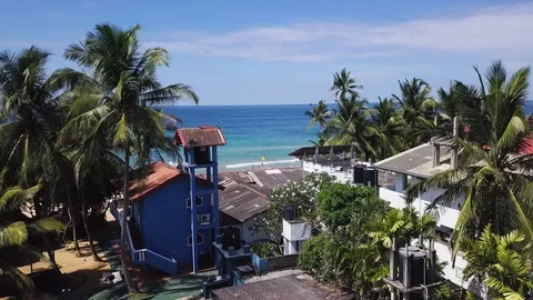 Drone flies through palm trees to the sandy beach of the ocean Stock Footage 109133416